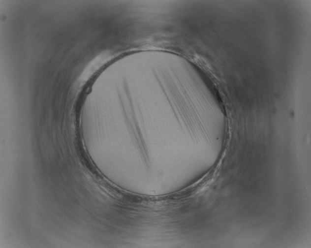 X0000067510295200605051836