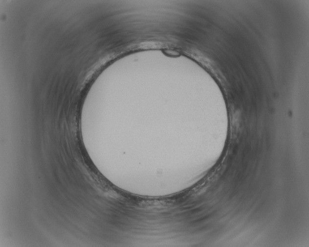 X0000067510297200605051836