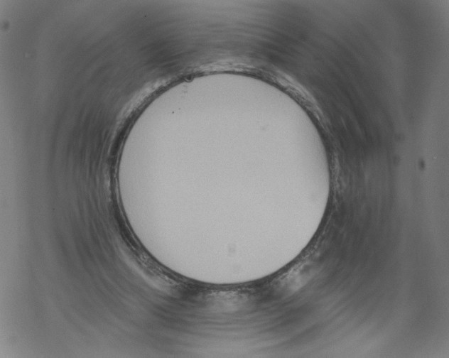 X0000067510298200605051836