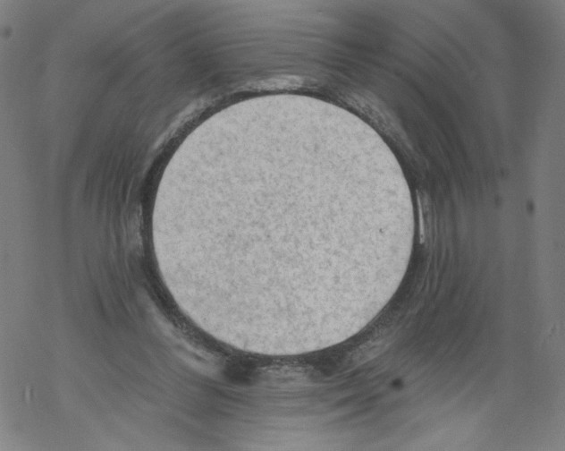 X0000067510300200605051836