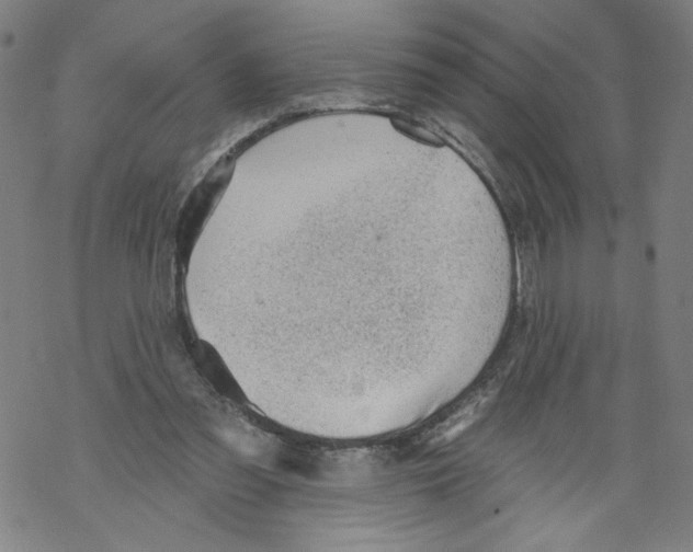 X0000067510301200605051836