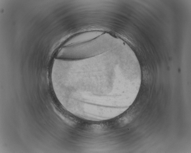 X0000067510302200605051836