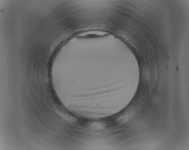 X0000067510303200605051836