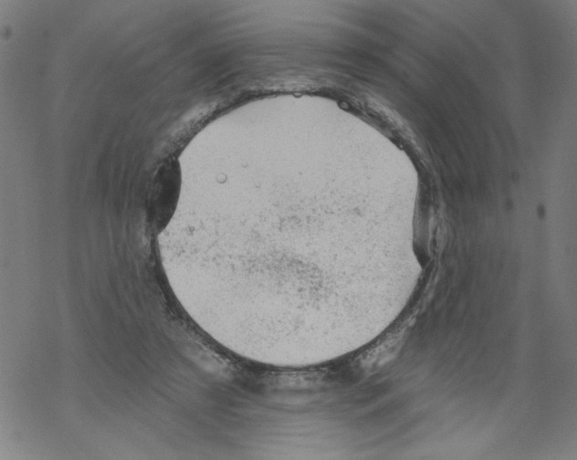 X0000067510305200605051836