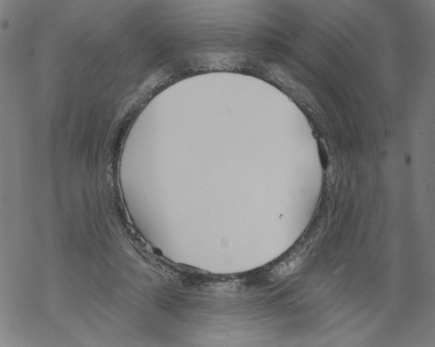 X0000067510306200605051836