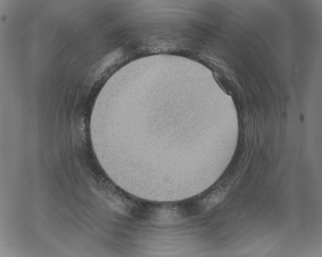 X0000067510308200605051836