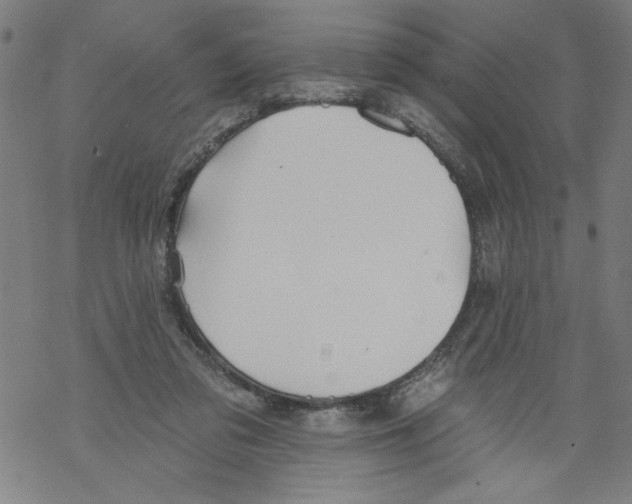 X0000067510309200605051836