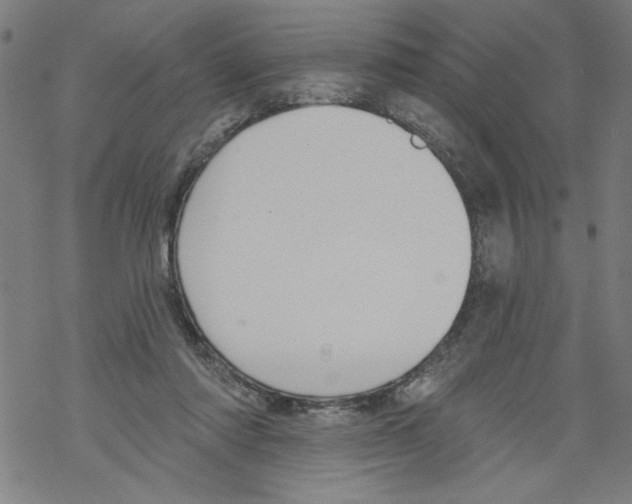 X0000067510310200605051836