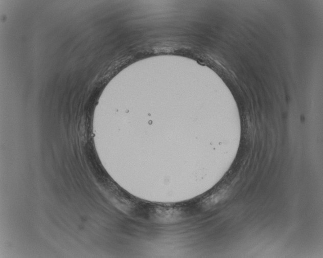 X0000067510311200605051836