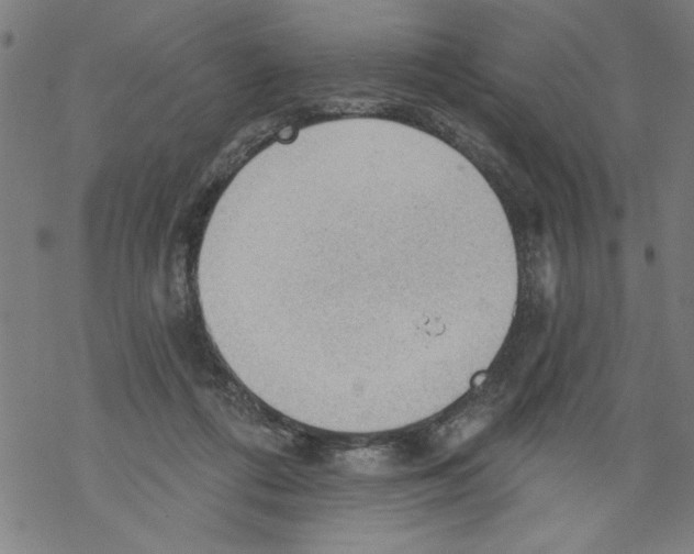 X0000067510312200605051836