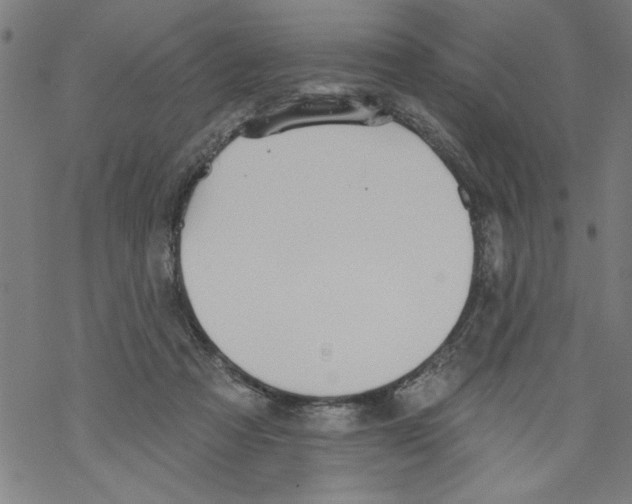 X0000067510313200605051836