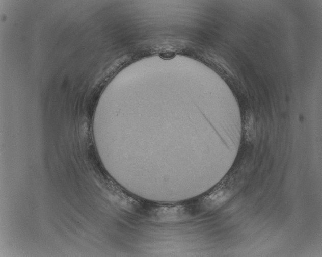 X0000067510314200605051836