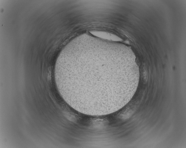 X0000067510315200605051836