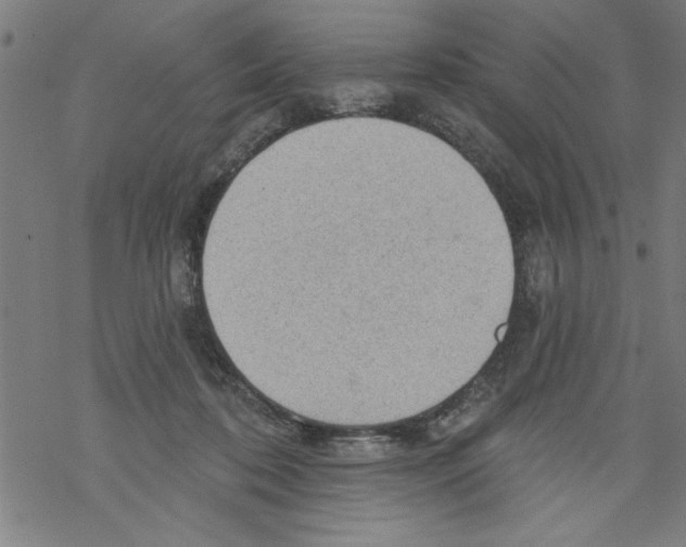 X0000067510316200605051836