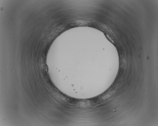 X0000067510317200605051836