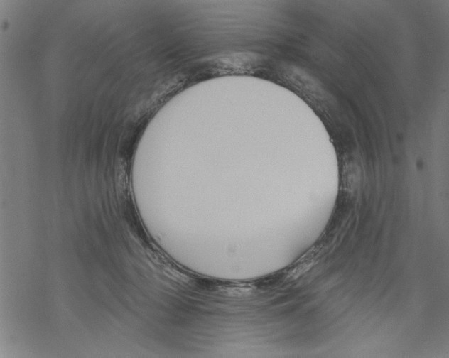 X0000067510318200605051836