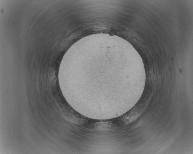 X0000067510320200605051835