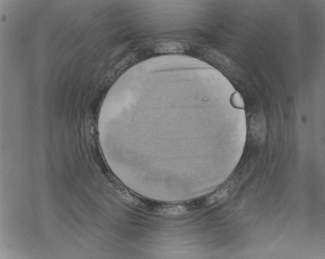 X0000067510322200605051835