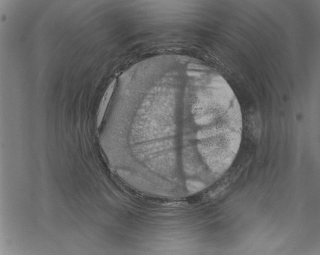 X0000067510323200605051835