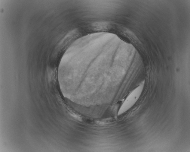 X0000067510325200605051835