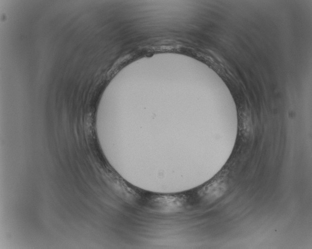 X0000067510326200605051835