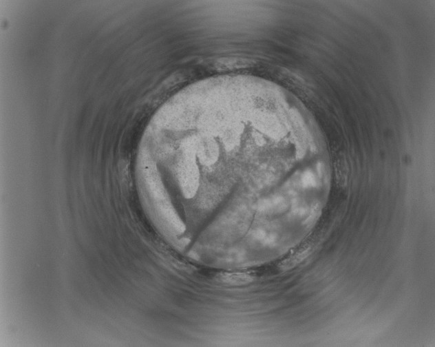 X0000067510327200605051835