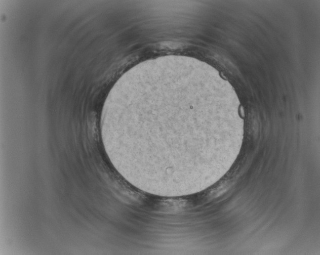 X0000067510328200605051835