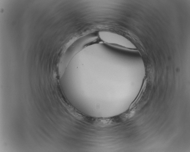 X0000067510329200605051835