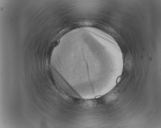 X0000067510330200605051835