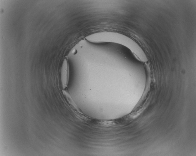 X0000067510333200605051835