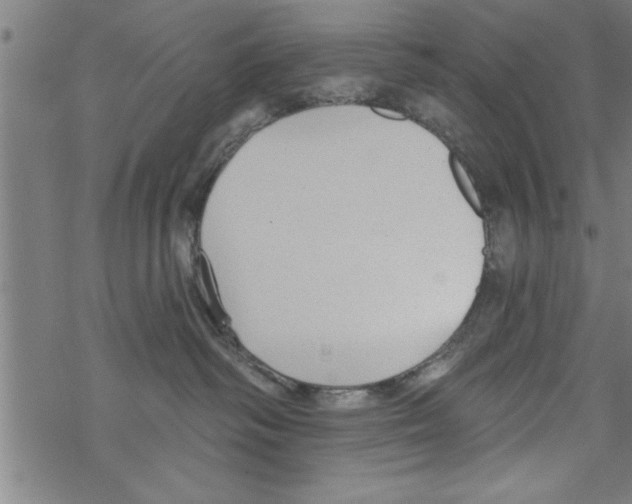 X0000067510334200605051835