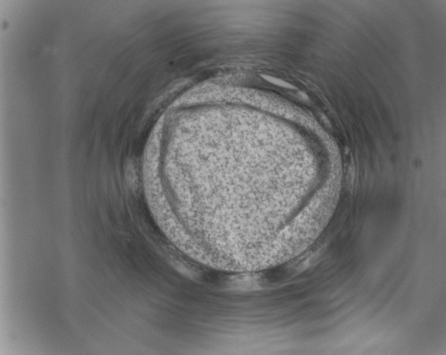 X0000067510335200605051835