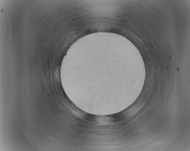 X0000067510336200605051835