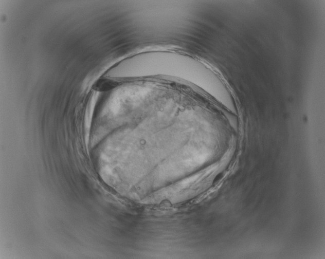 X0000067510337200605051834