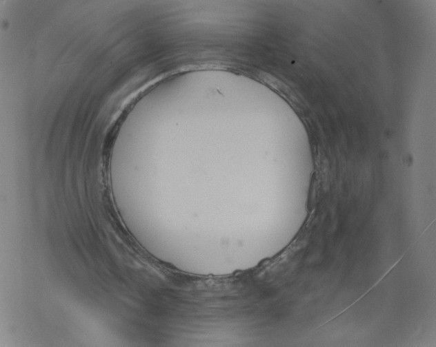 X0000067510338200605051834