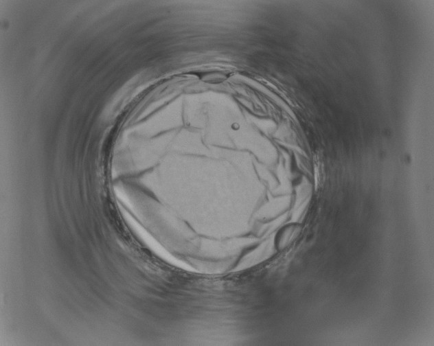 X0000067510339200605051834