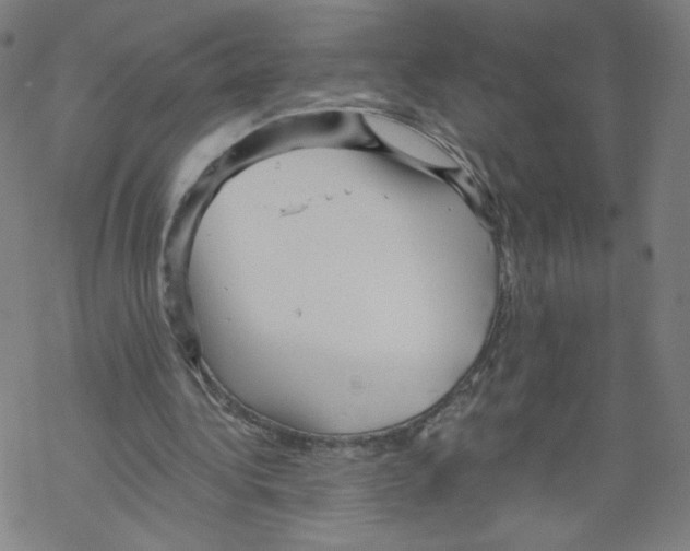 X0000067510340200605051835