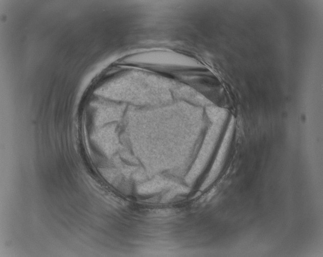 X0000067510342200605051835