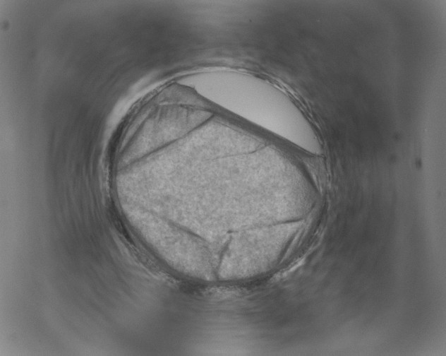 X0000067510343200605051835