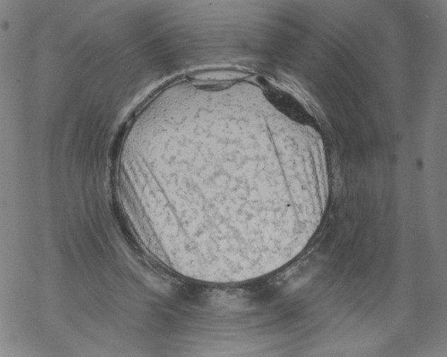 X0000067510346200605051835