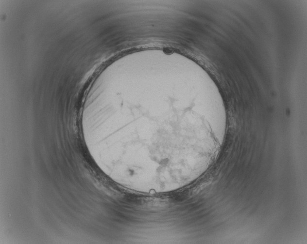 X0000067510347200605051835