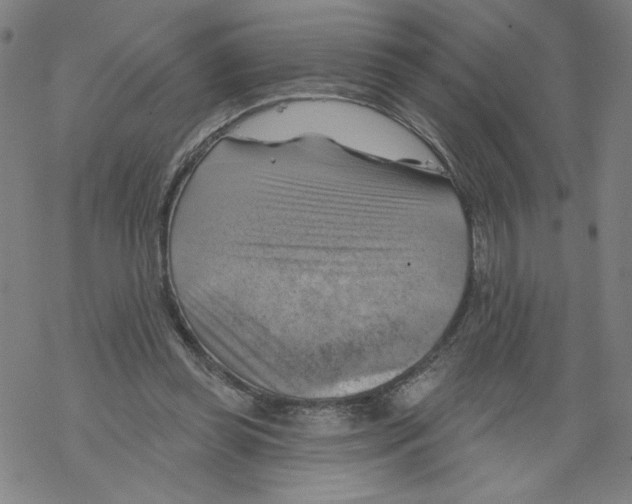 X0000067510349200605051835