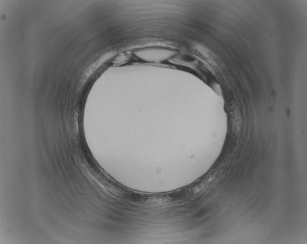 X0000067510350200605051835