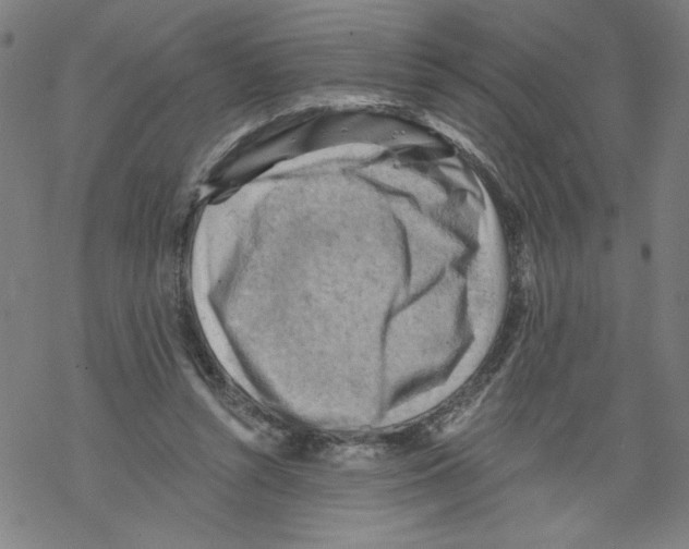 X0000067510352200605051835