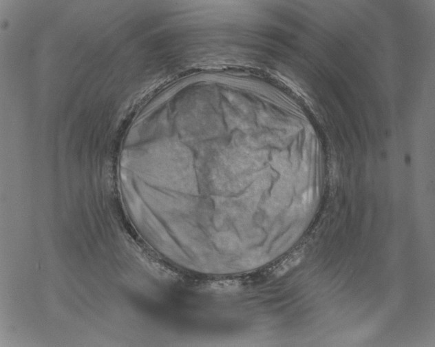 X0000067510353200605051835