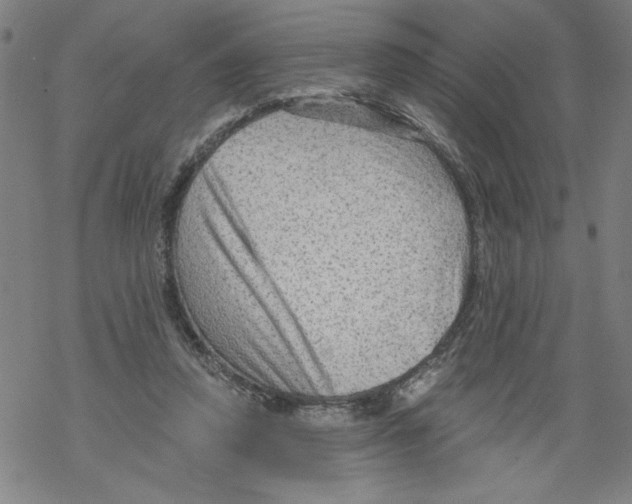 X0000067510354200605051835