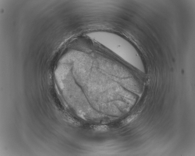 X0000067510355200605051835