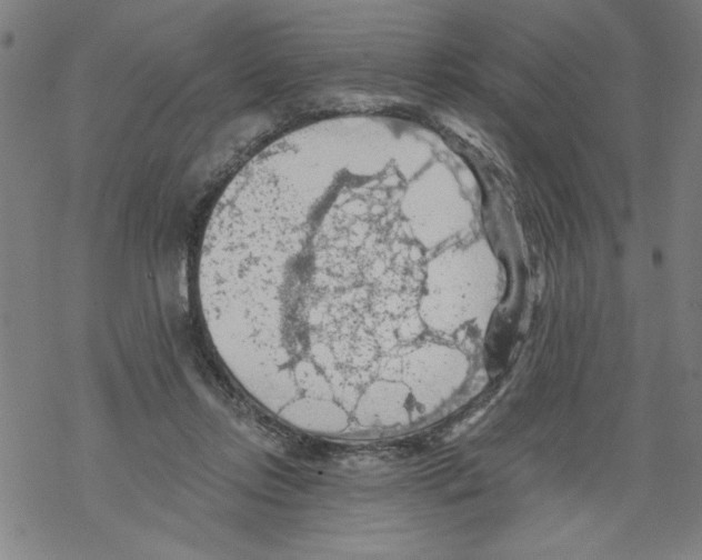 X0000067510358200605051835