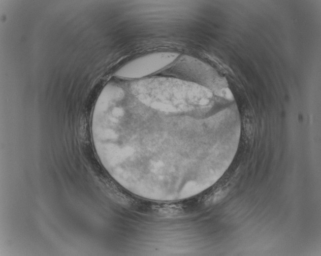 X0000067510359200605051835