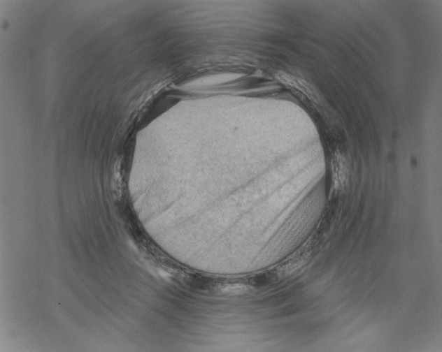 X0000067510360200605051835